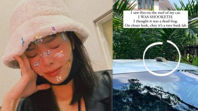 YES 933 DJ Hazelle Teo Drove Around With A Dead Bird On Her Car ’Cos She Thought It Was A “Tree Husk”