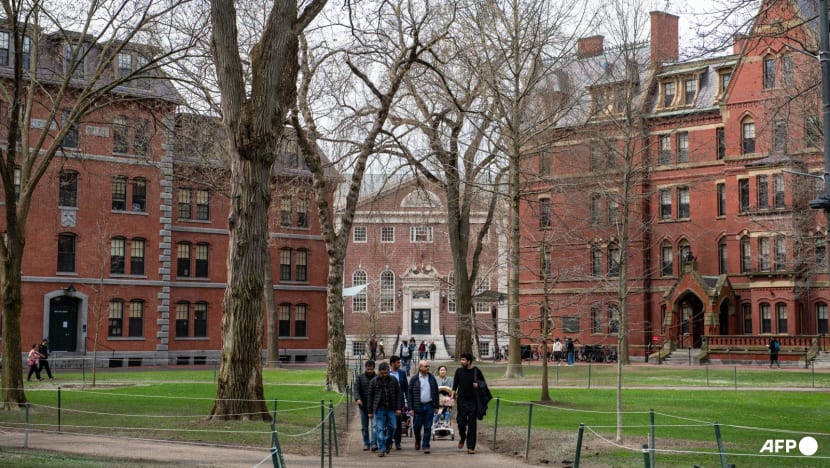Hong Kong's education secretary calls on local universities to offer support to Harvard international students Hong Kong's education secretary calls on local universities to offer support to Harvard international students