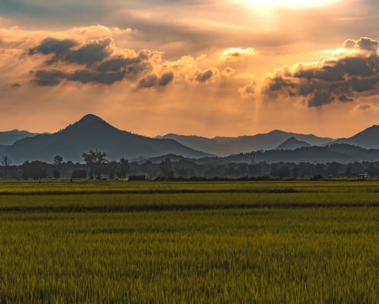 Adaptation and resilience: An investment opportunity in a changing world