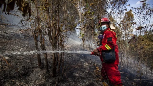 发生森林土地火灾 印尼廖内进入紧急警戒状态