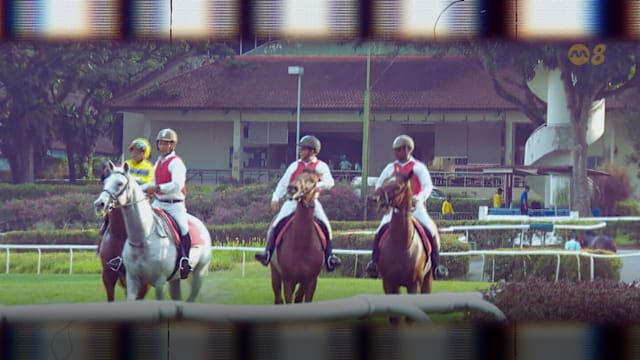 前线追踪 | 克兰芝赛马去哪了？赛道外的疗愈人生