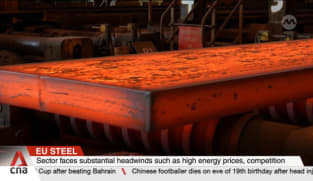 EU plans to reduce steel imports by 15% amid US tariffs, competition from Asia