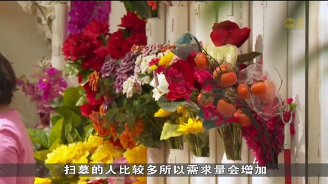 随着防疫限制全面解除 清明节祭祖仪式人数鲜花需求增