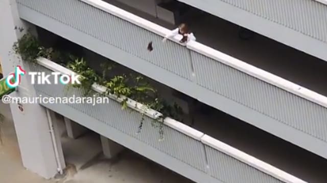 义顺女子组屋抛鞋下楼 网民议论纷纷