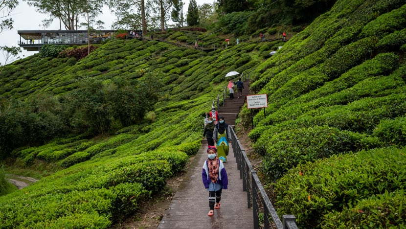 Cameron Highlands bandar Malaysia paling bahagia 2024