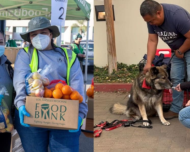 Feeding residents, caring for pets: How Californians are chipping in to help amid deadly wildfires