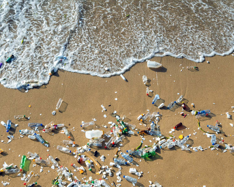 New association launched to help enhance rate of recycling plastic waste in Singapore