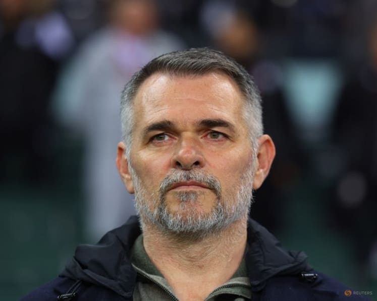 Georgia replace manager Sagnol with Svanadze after Northern Ireland loss