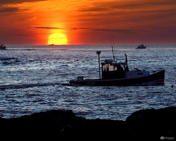Global heat is just the latest 2023 extreme that shows an Earth in crisis