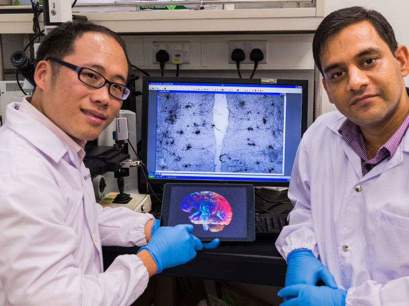 NTU scientists Dr Lee Wei Lim (NTU) and Asst Prof Ajai Vyas. Photo: NTU