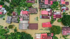 Related article image