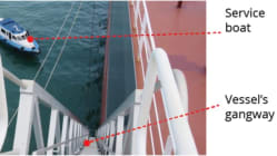 Related article image