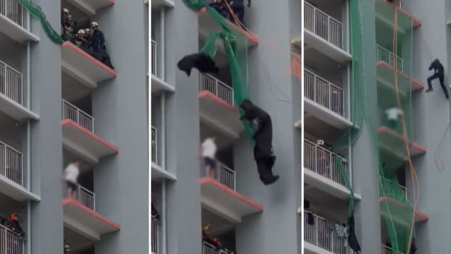女子危站武吉巴督组屋外 民防灾难拯救队高空救人