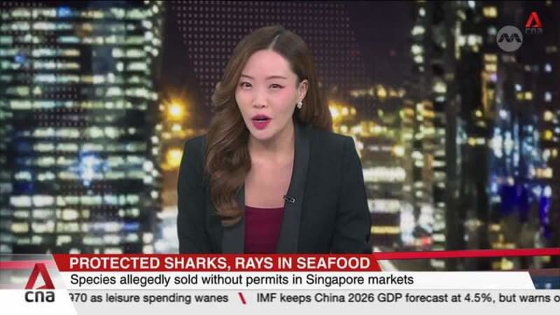 Protected marine wildlife still being sold illegally in Singapore	