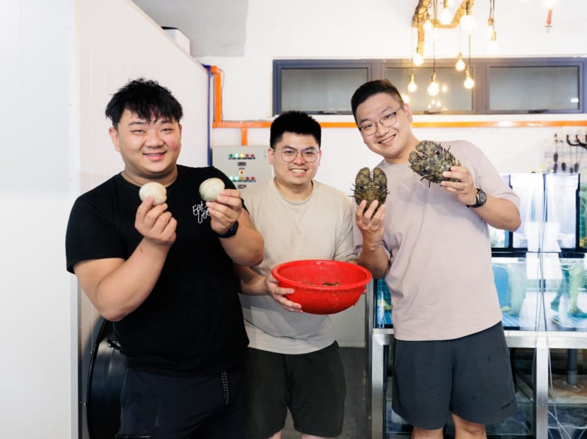 Slipper lobsters from Sabah, oysters from Penang? Discovering Malaysia's underrated fresh seafood Slipper lobsters from Sabah, oysters from Penang? Discovering Malaysia's underrated fresh seafood