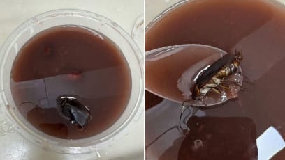 Netizen Posts Photo Of Huge Cockroach That Looks Like ‘Red Date’ In Dessert Bought At Chinese Garden Eatery