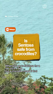 One Crocodile, many ruined plans in Sentosa’s beach #8dayssg #8dayssgtrending #sentosa #crocodile #sgtiktok 