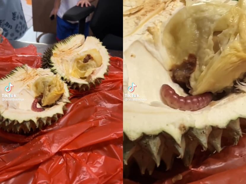 A critter that appears to be a type of caterpillar known as a durian fruit borer was found wriggling in the fruit by local radio DJ, Jerald Justin Ko's mother. A critter that appears to be a type of caterpillar known as a durian fruit borer was found wriggling in the fruit by local radio DJ, Jerald Justin Ko's mother.