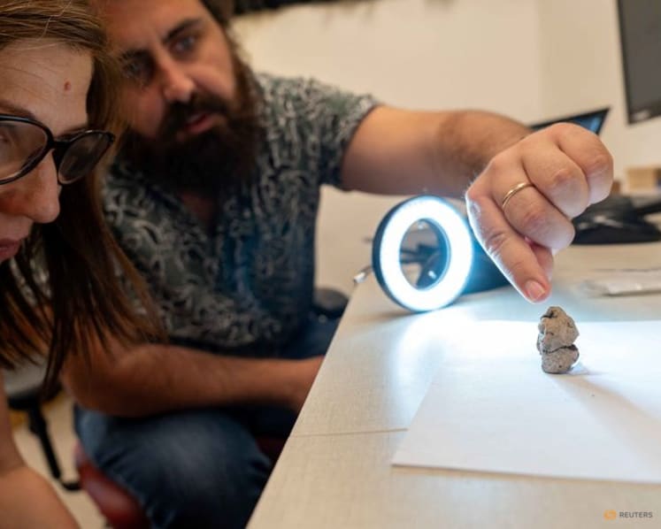 Figurine of a woman and a goose offers peek at prehistoric beliefs
