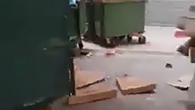 No foul play suspected in death of man at Queenstown housing block after dismembered leg found: Police