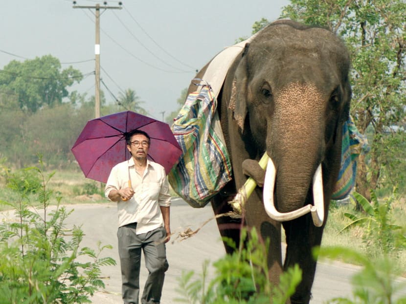 Filmmaker Kirsten Tan dedicated her latest win to her cast of actors, including Thai veteran singer-songwriter Thaneth Warakulnukroh and Bong the elephant. Producer Lai Weiji received the award on Tan’s behalf. Photo: Giraffe Pictures