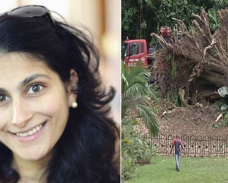 Husband of woman killed by falling tree in Botanic Gardens sues NParks