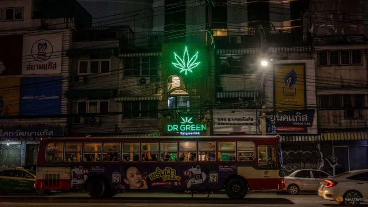 Thailand moves to recriminalise cannabis, shaking US$1 billion industry