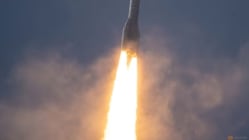 Related article image