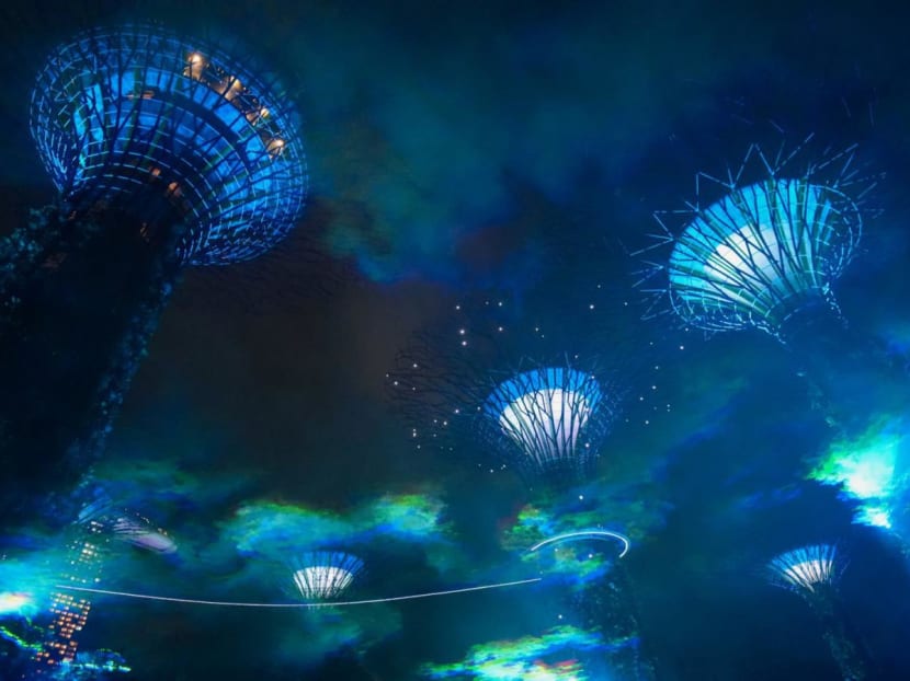 Borealis at Gardens by the Bay: Witness the 'Northern Lights' at this free installation Borealis at Gardens by the Bay: Witness the 'Northern Lights' at this free installation
