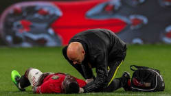 Related article image