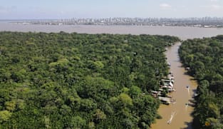 Trees, targets and trillions: What's on the agenda at COP30?
