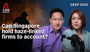 Deep Dive Podcast - Making companies behind the haze pay: Can Singapore succeed?