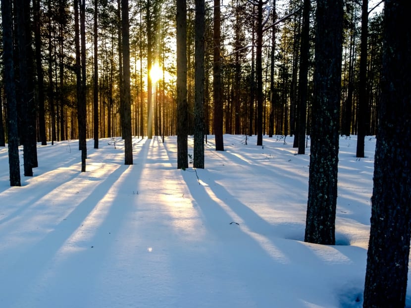 Lapland and the Northern Lights