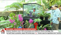 Singapore Botanic Gardens embarks on digitalisation effort to aid research 