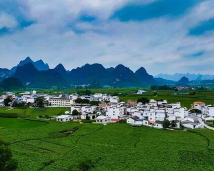 Xinhua Silk Road: "AI+mulberry silk" paves new road to prosperity in S China's Guangxi