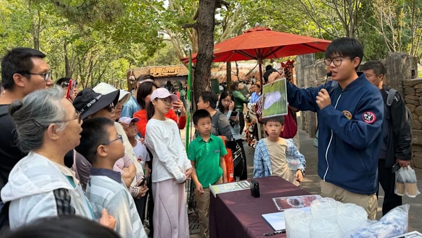 Beijing park's holiday caterpillar hunt targets 'forest food monster'