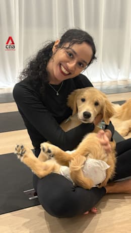 What's it like to go for Pilates... with puppies?