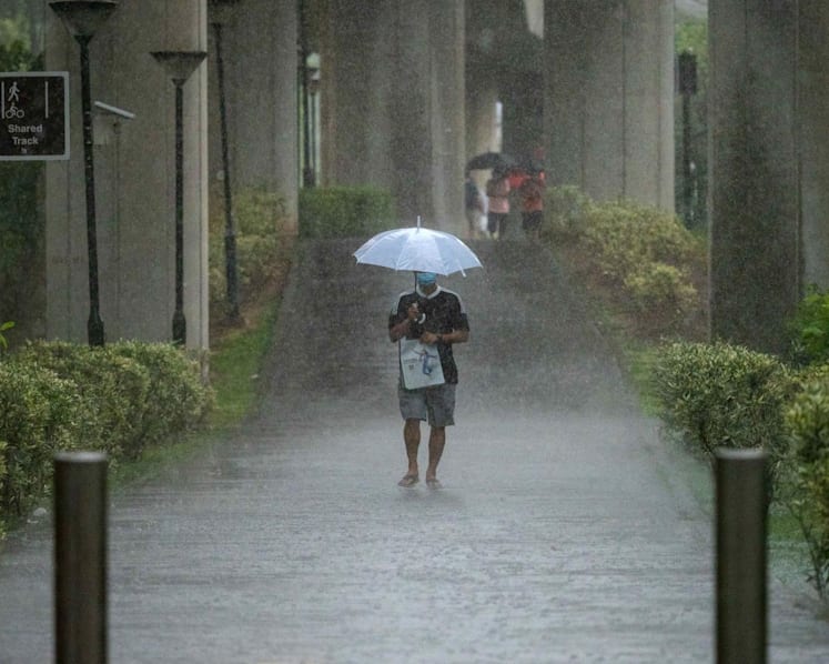 Wet weather set to continue for the rest of August; temperature may dip below 23°C 
