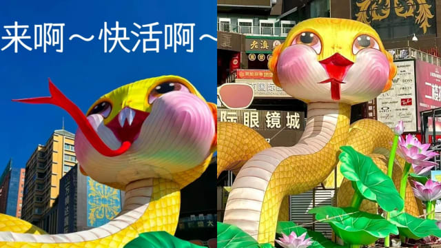 丑萌出圈的中国蛇宝宝，成了“打卡神灯”！