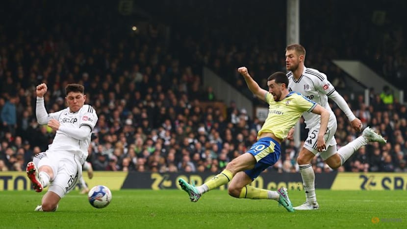 Southampton strike late to dump Fulham out of FA Cup
