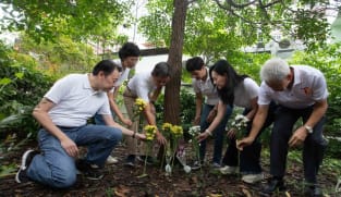 GE2025: Tanjong Pagar MPs mark 10th anniversary of Lee Kuan Yew’s death; welcome MP Rachel Ong to the ward 