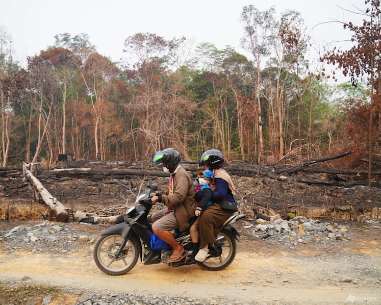 Indonesia’s new peatland agency to get greater powers, but more work needed to stop forest fires Indonesia’s new peatland agency to get greater powers, but more work needed to stop forest fires