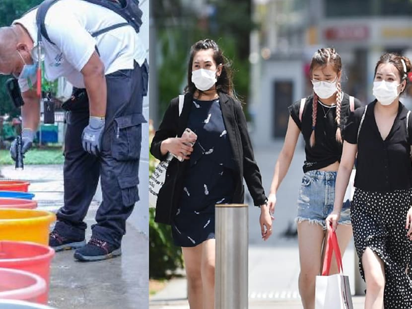 Commentary: In Singapore, battling the COVID-19 threat outside and the dengue peril at home