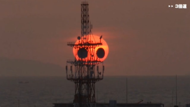 “夕阳大熊猫”！时隔七年再现日本天边