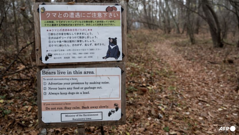 Japan loosens gun rules as bear attacks rise Japan loosens gun rules as bear attacks rise
