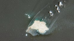 Related article image