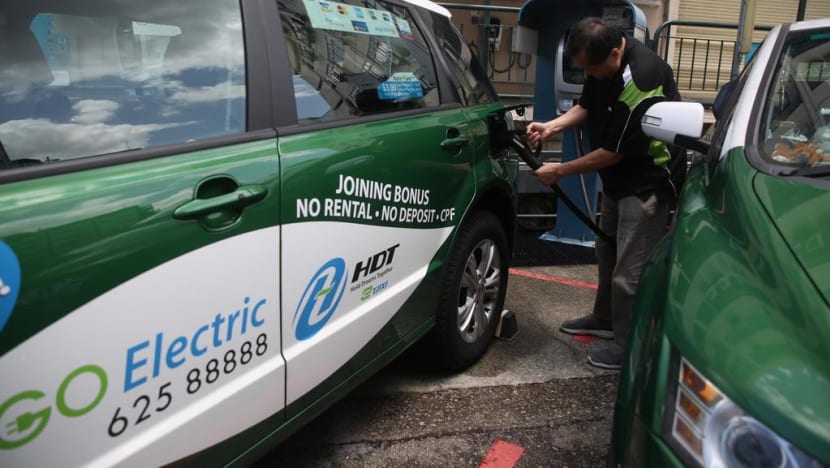MPs concerned with Govt’s plan to ‘put all eggs in the electric vehicle basket’