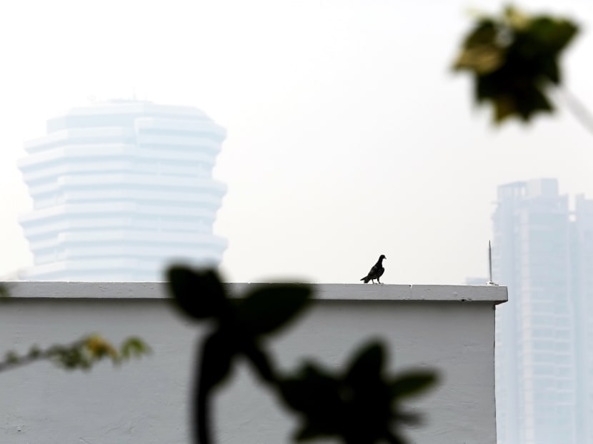 #SGHaze trends on social media as air pollution readings hit 'high'