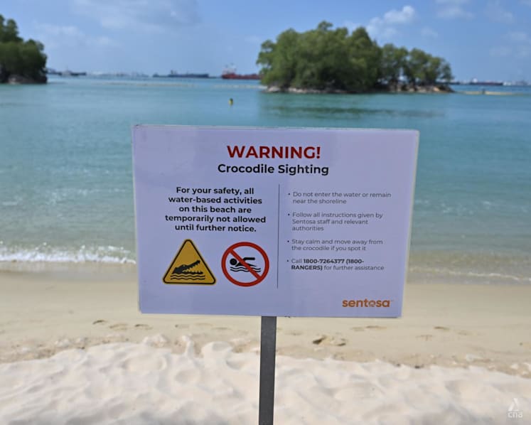 No further sightings of crocodile at Sentosa; suspension of water activities lifted