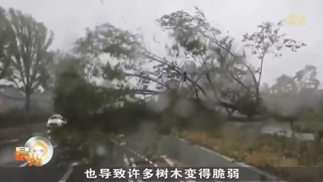 罕见夏季强烈风暴席卷荷兰德国 造成至少两死十伤